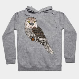 Tawny frogmouth bird cartoon illustration Hoodie